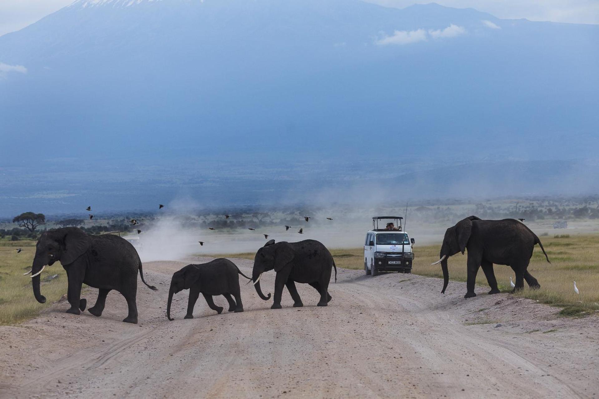 Amboseli Glass House Oloitokitok Eksteriør bilde