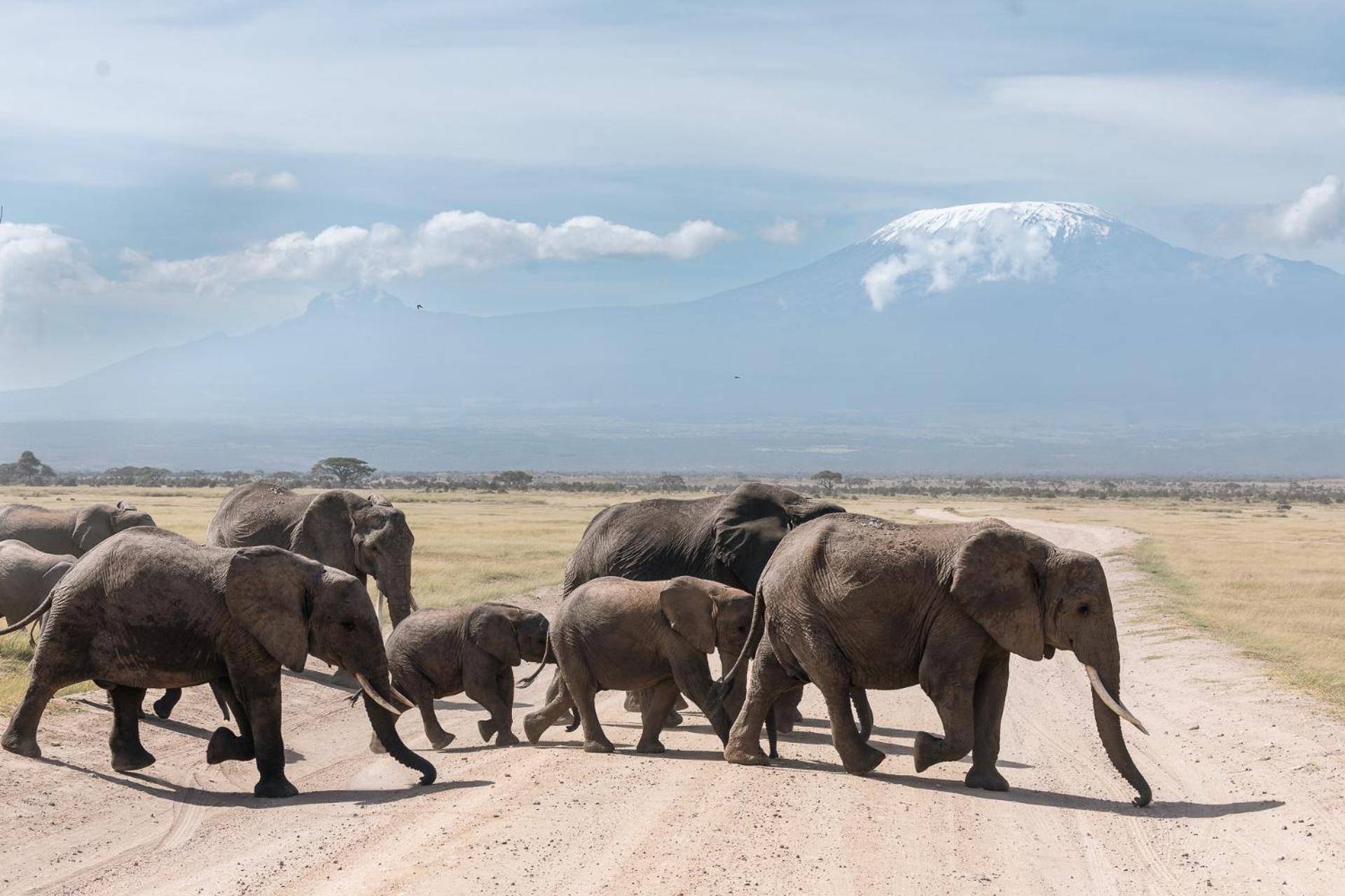 Amboseli Glass House Oloitokitok Eksteriør bilde
